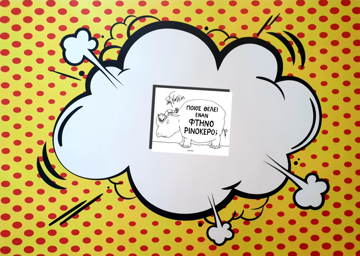 ΠΟΙΟΣ ΘΕΛΕΙ ΕΝΑΝ ΦΤΗΝΟ ΡΙΝΟΚΕΡΟ;
